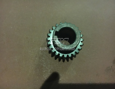Шестерня ведущая m=2 z=24 АЛК25.001.03.16