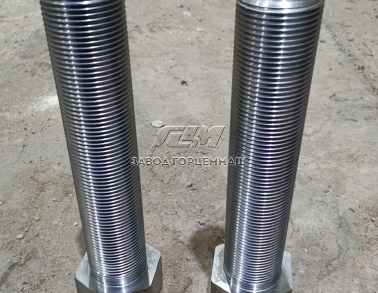 Винт натяжной М24х220.019